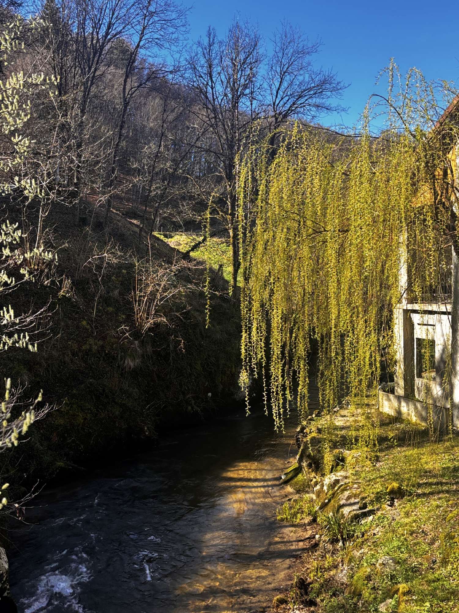  en venta casa Maurs Cantal 3