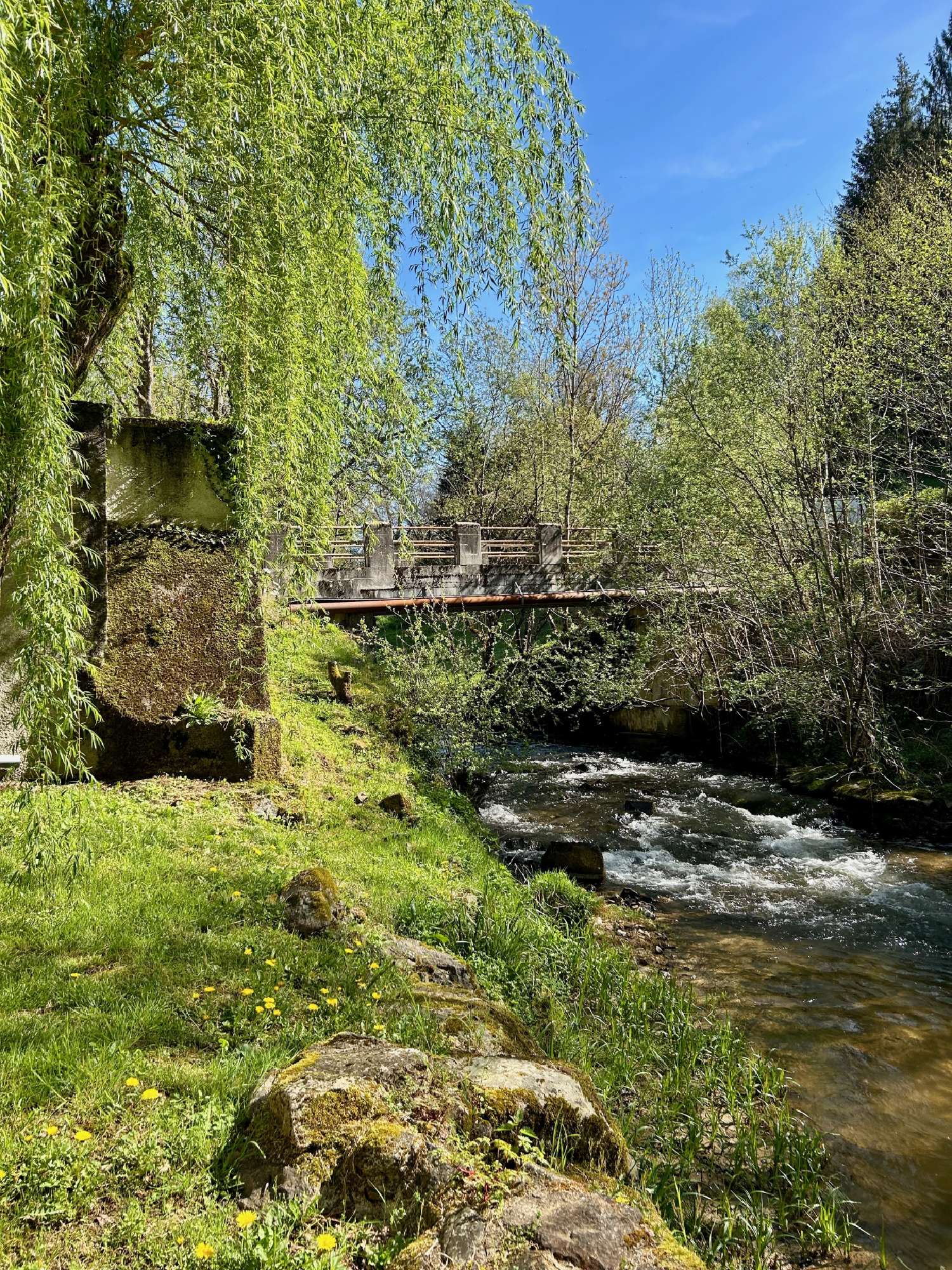  en venta casa Maurs Cantal 8