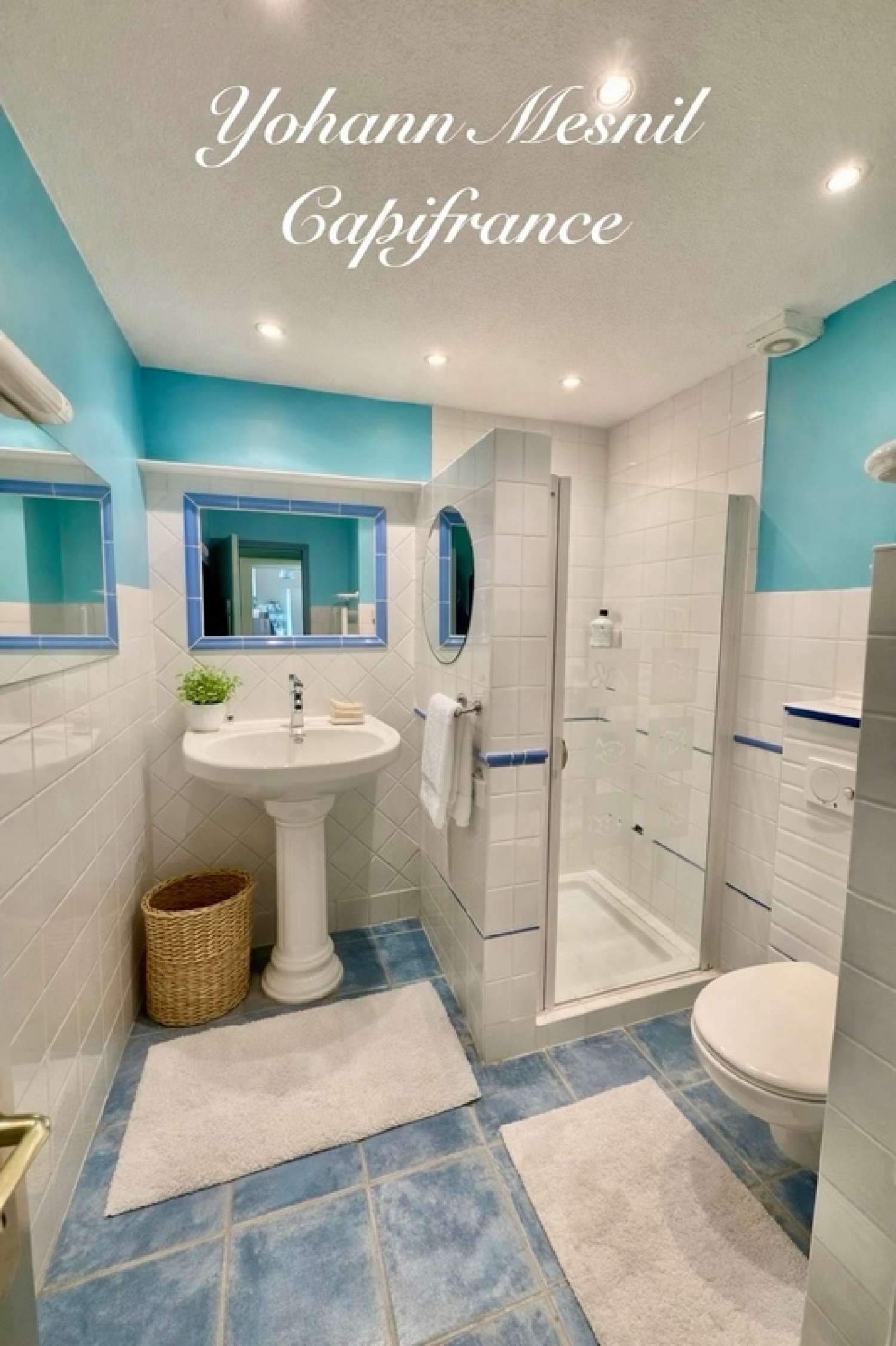  kaufen Haus Melle Deux-Sèvres 5