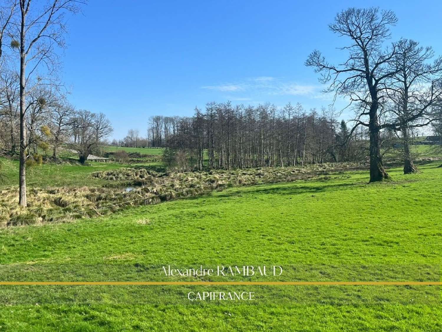 for sale house Mellé Ille-et-Vilaine 4