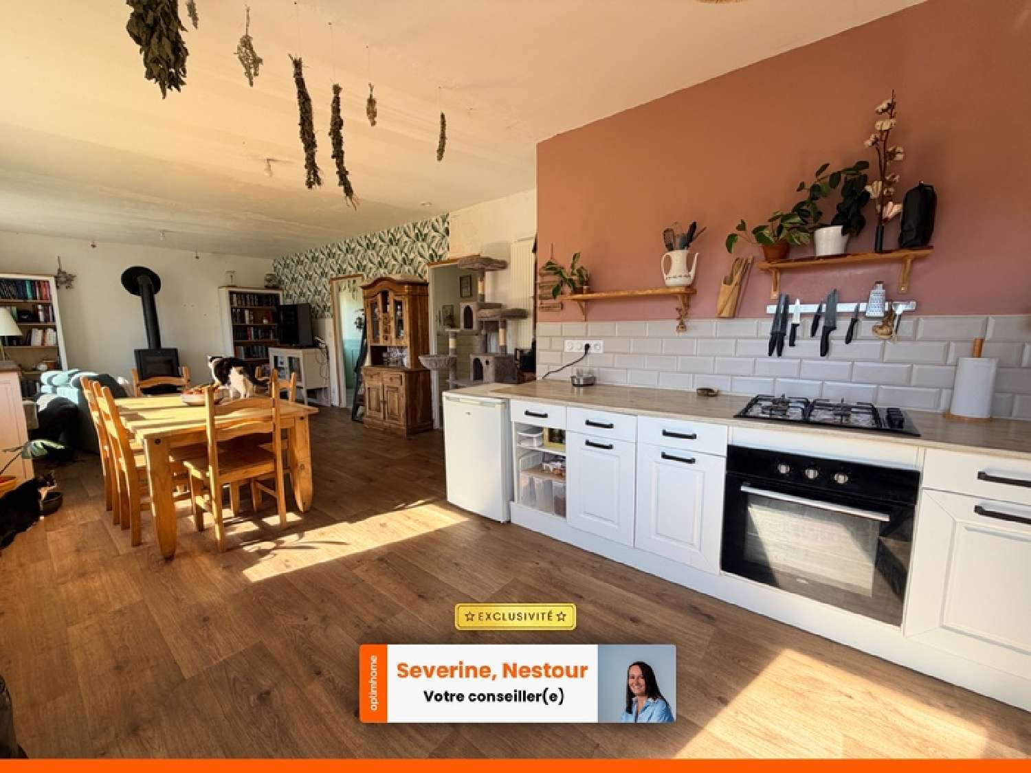  kaufen Haus Melrand Morbihan 2