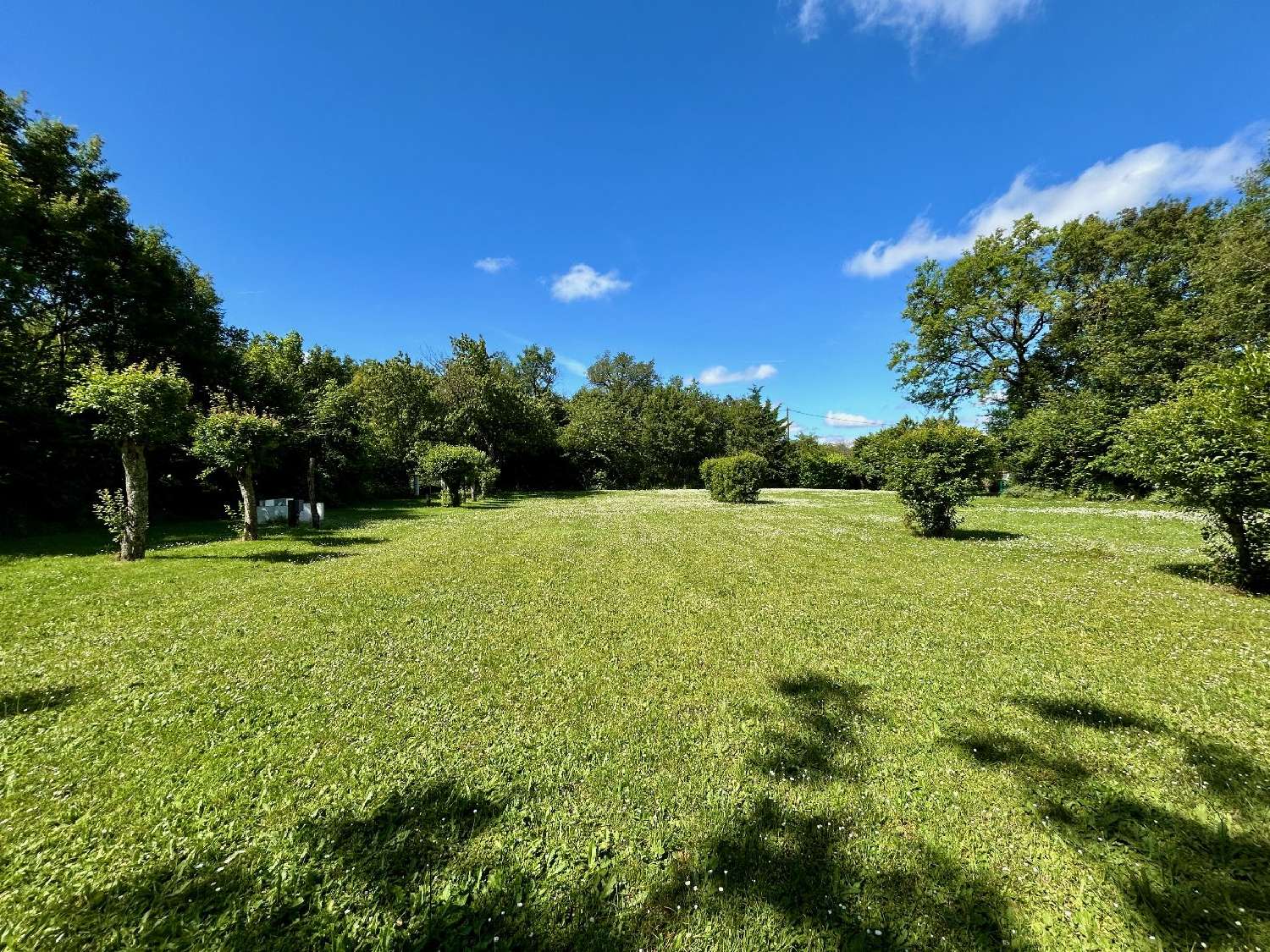  for sale house Messé Deux-Sèvres 2