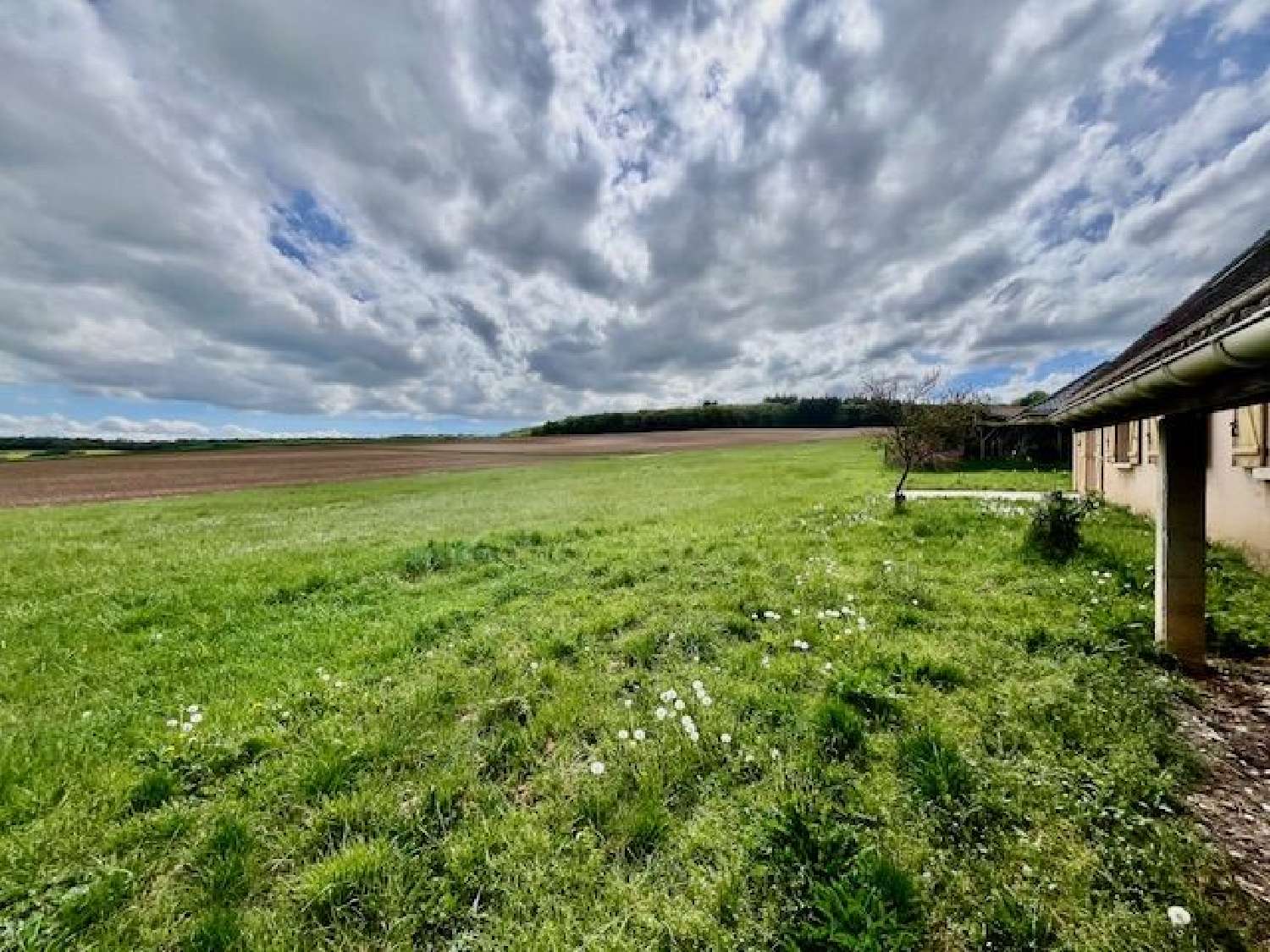  kaufen Haus Messon Aube 3