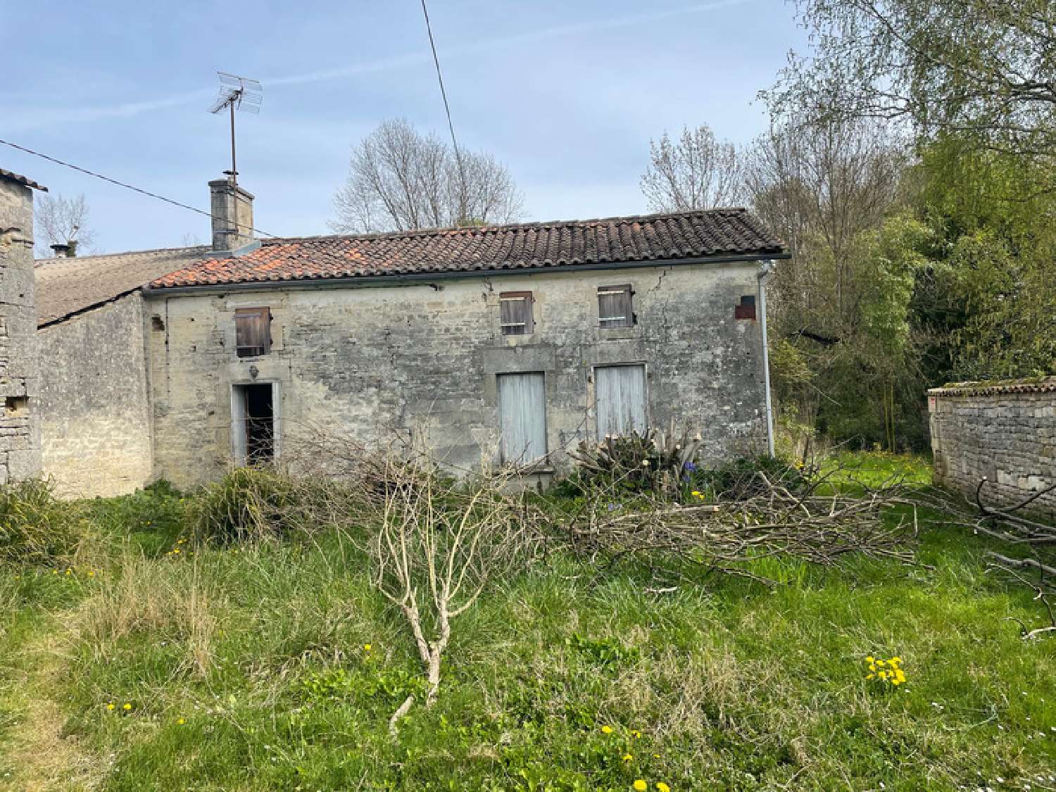  kaufen Haus Migron Charente-Maritime 1