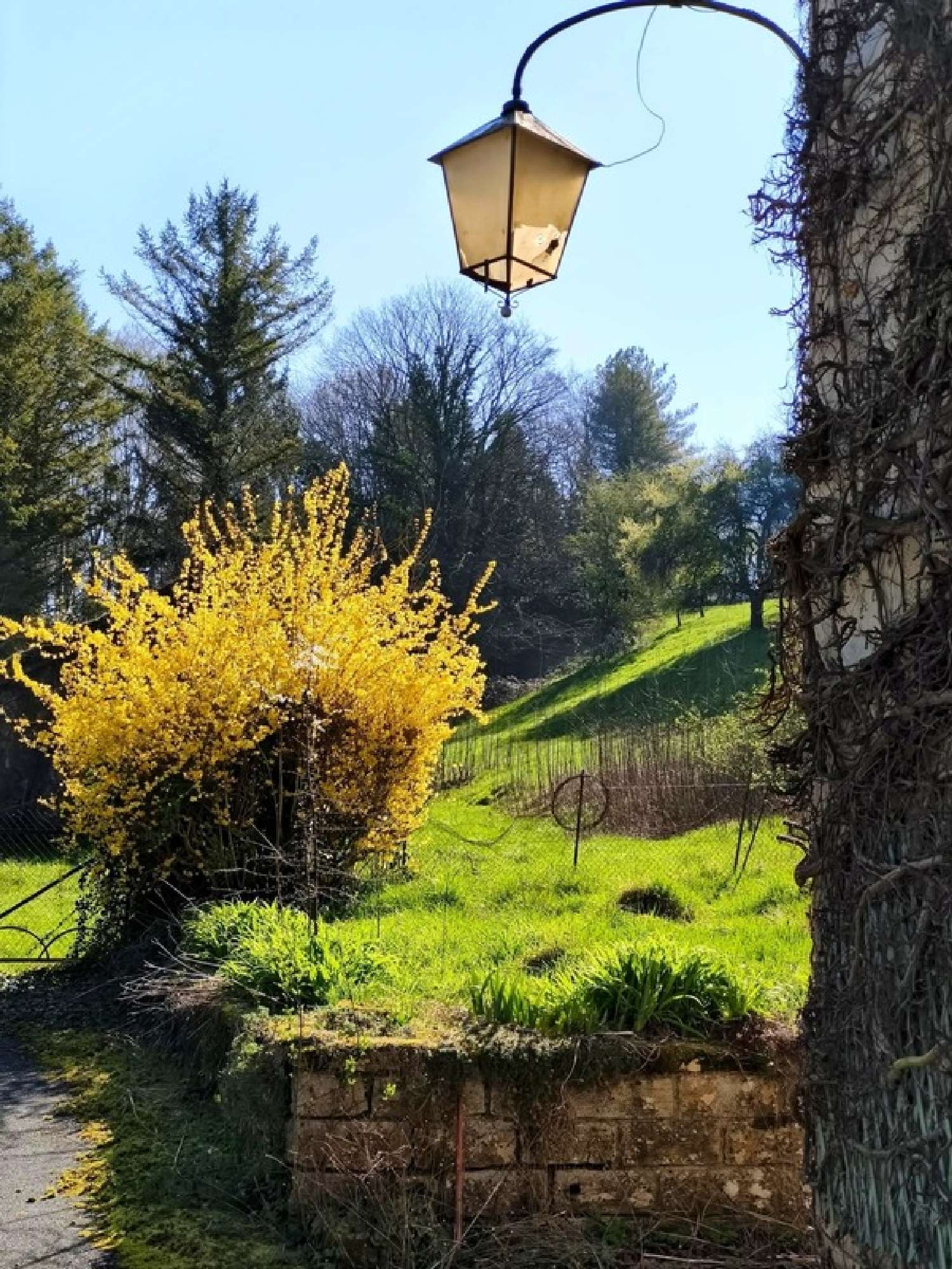 te koop huis Moissey Jura 8