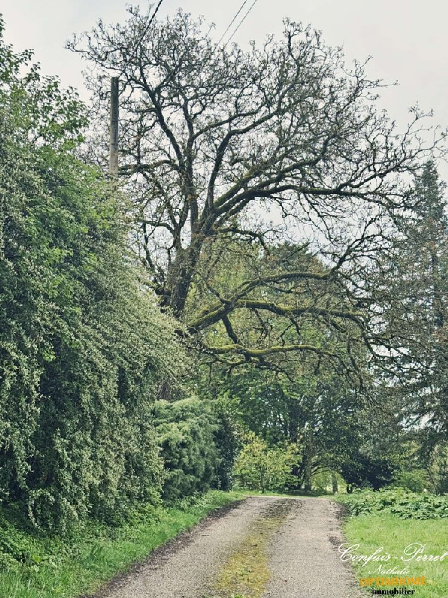  à vendre maison Moissey Jura 2