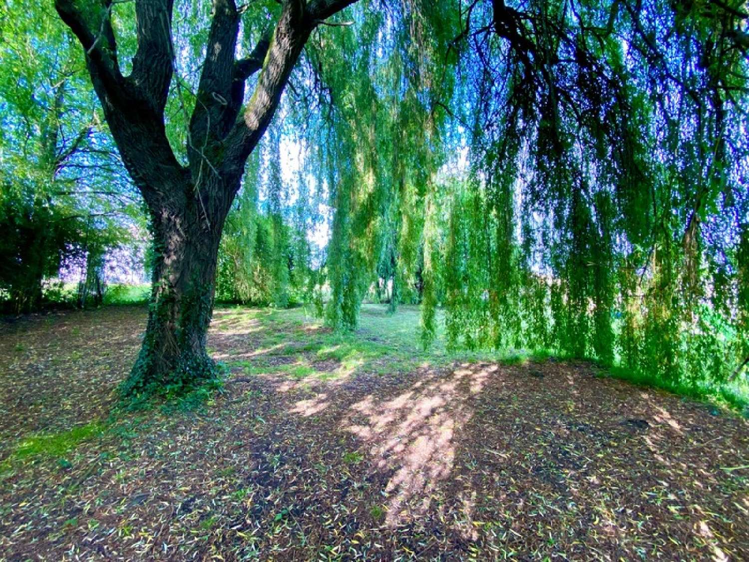  à vendre maison Mont-de-Marsan Landes 2