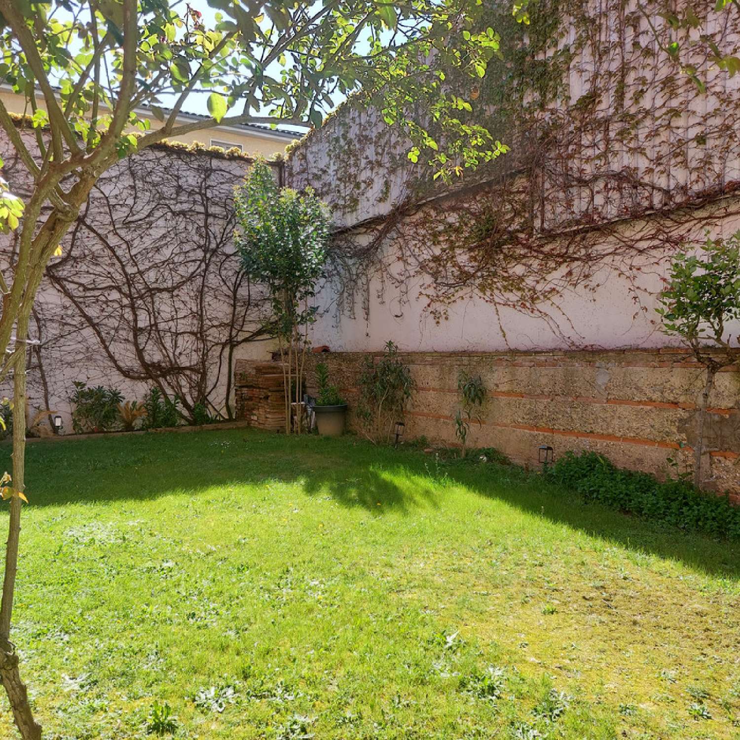 kaufen Haus Montauban Tarn-et-Garonne 6