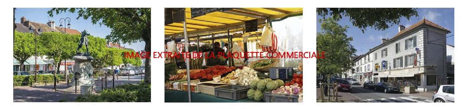 te koop huis Montlhéry Essonne 4