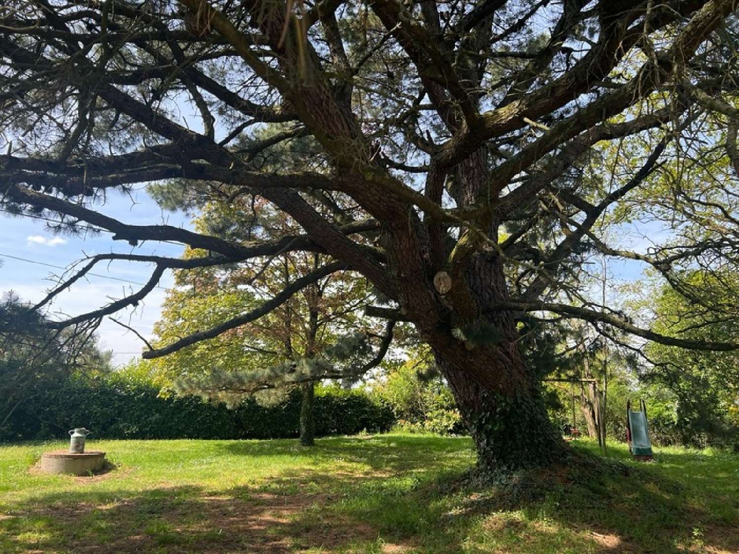  for sale house Mortagne-sur-Sèvre Vendée 2