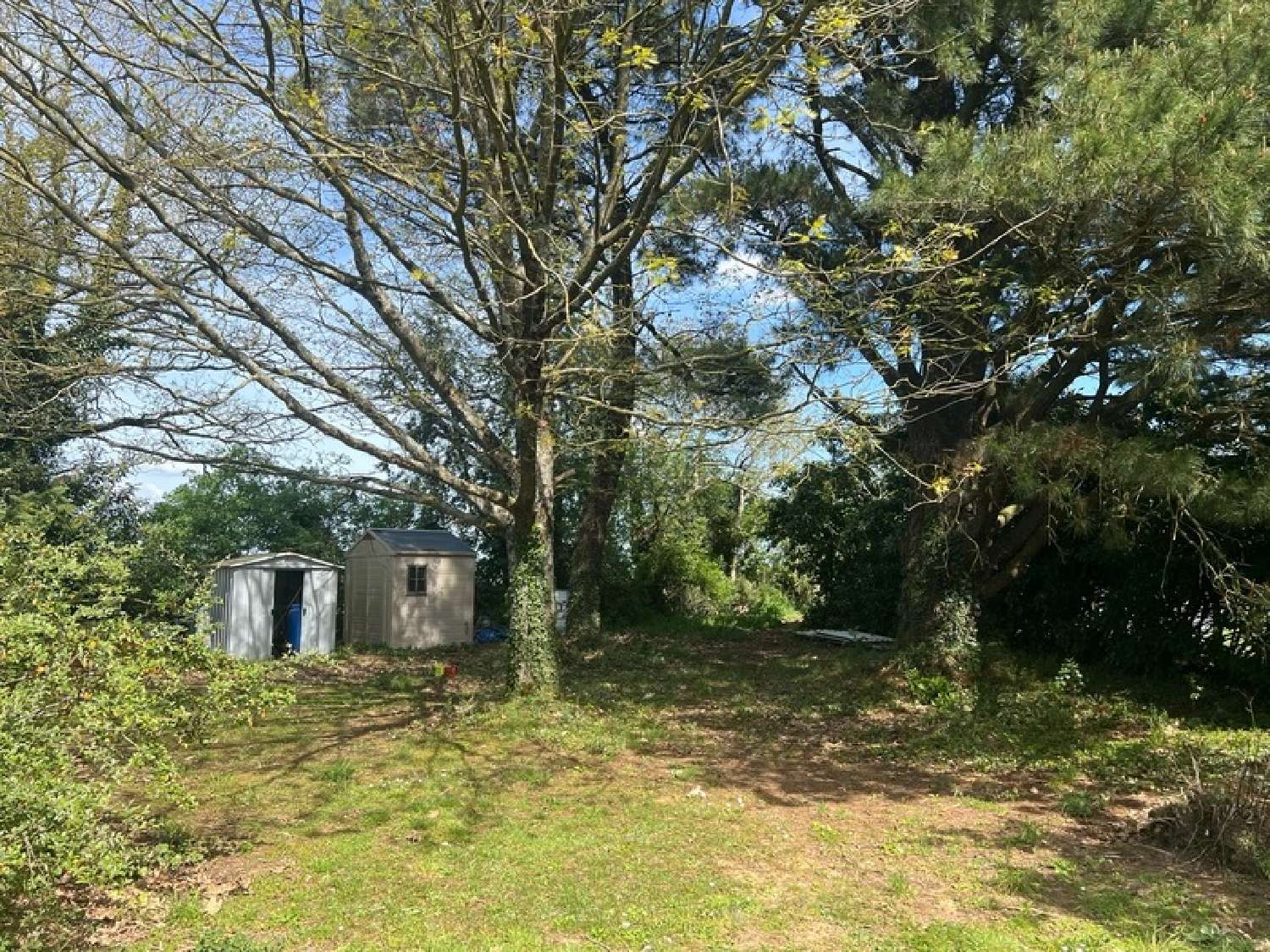  for sale house Mortagne-sur-Sèvre Vendée 3