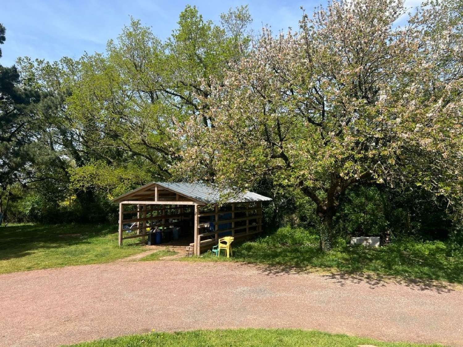  for sale house Mortagne-sur-Sèvre Vendée 4