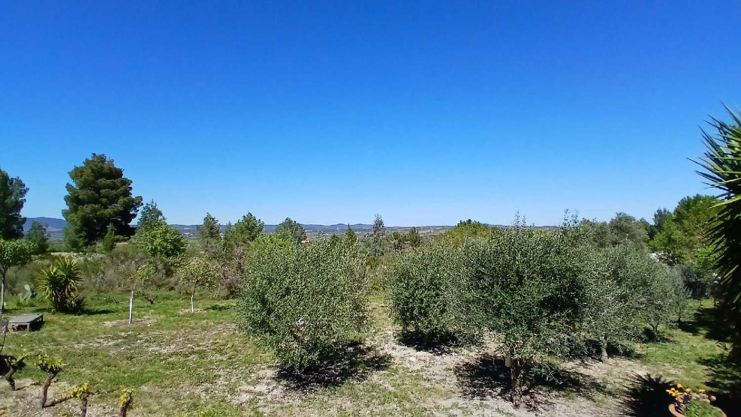  for sale house Murviel-lès-Béziers Hérault 6