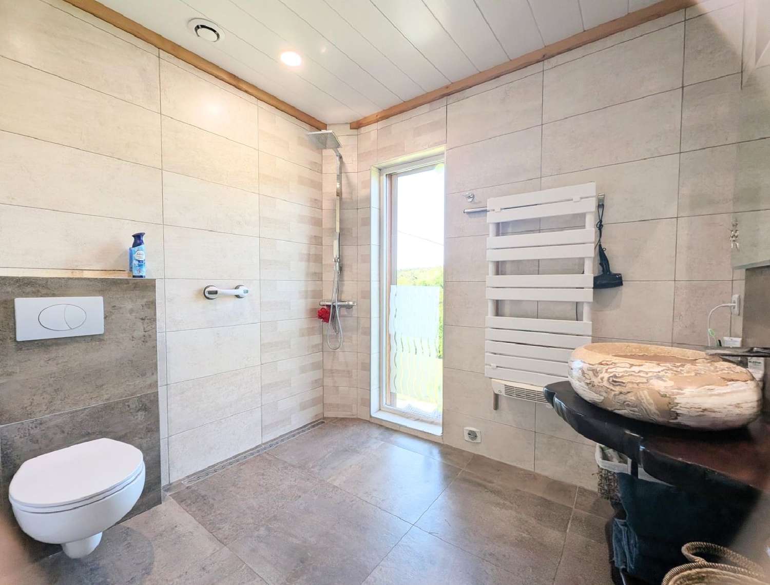  te koop huis Neaux Loire 5