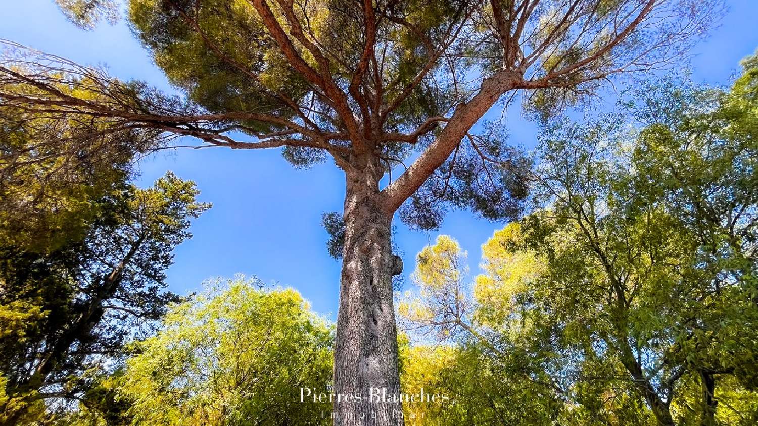  te koop huis Nîmes Gard 7