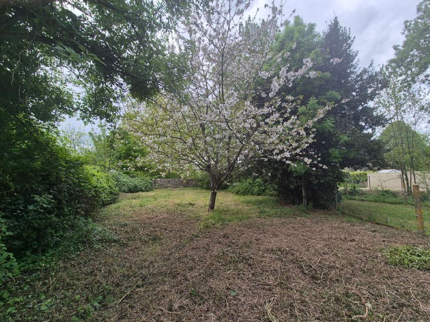  kaufen Haus Niort Deux-Sèvres 2