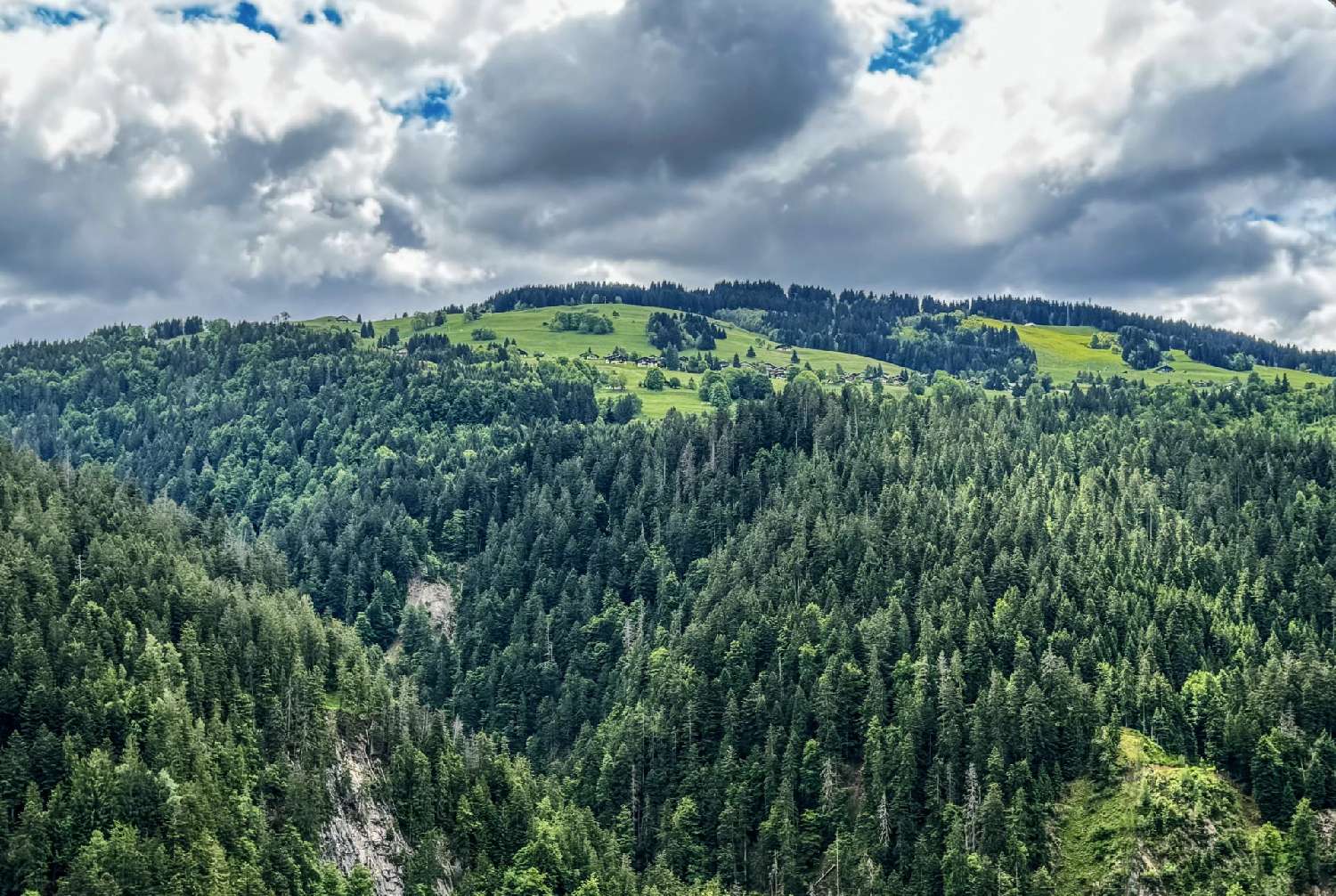 à vendre maison Nogent-sur-Seine Aube 8