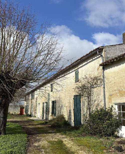Noizé Deux-Sèvres maison foto 7312439