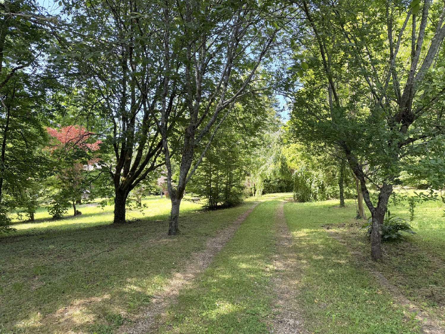 en venta casa Nontron Dordoña 5