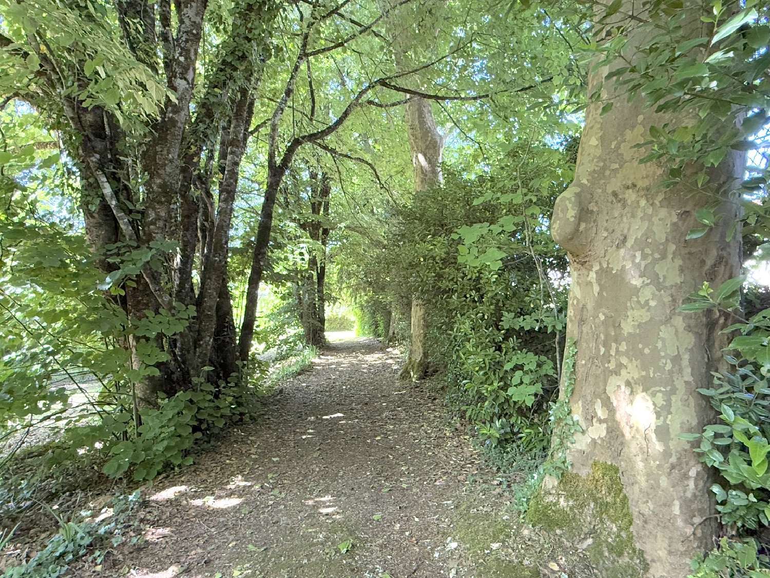 en venta casa Nontron Dordoña 6