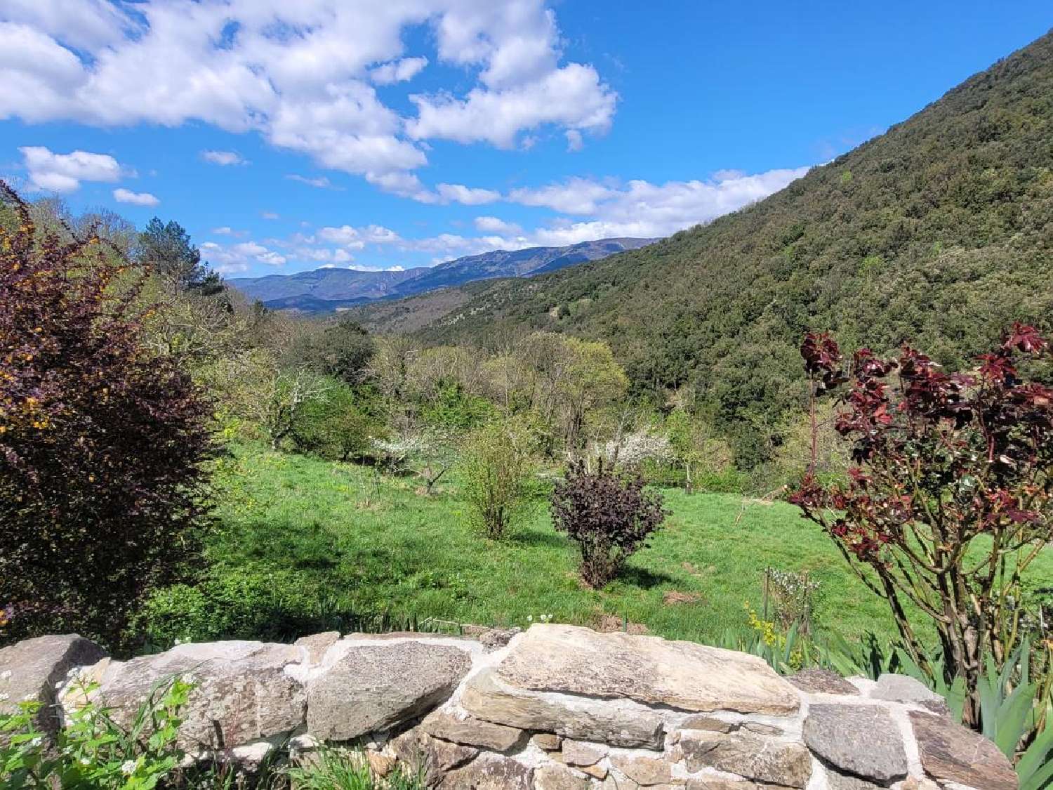  à vendre maison Olargues Hérault 4