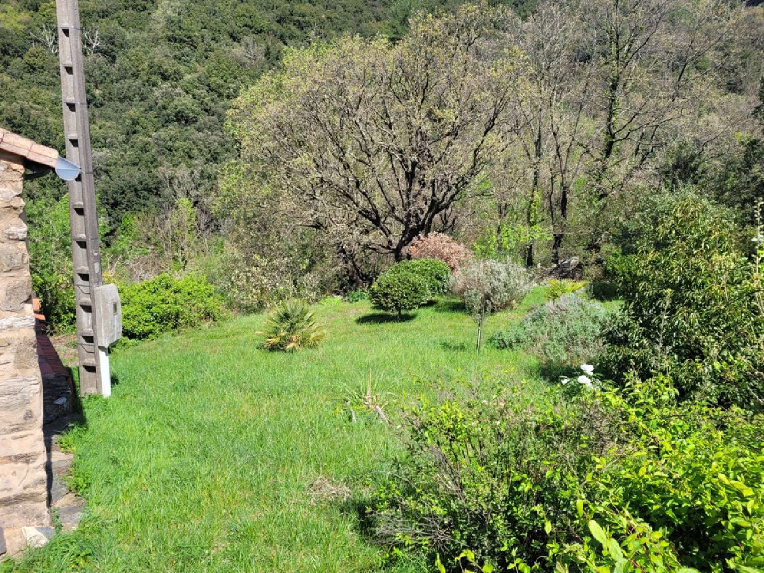  à vendre maison Olargues Hérault 8