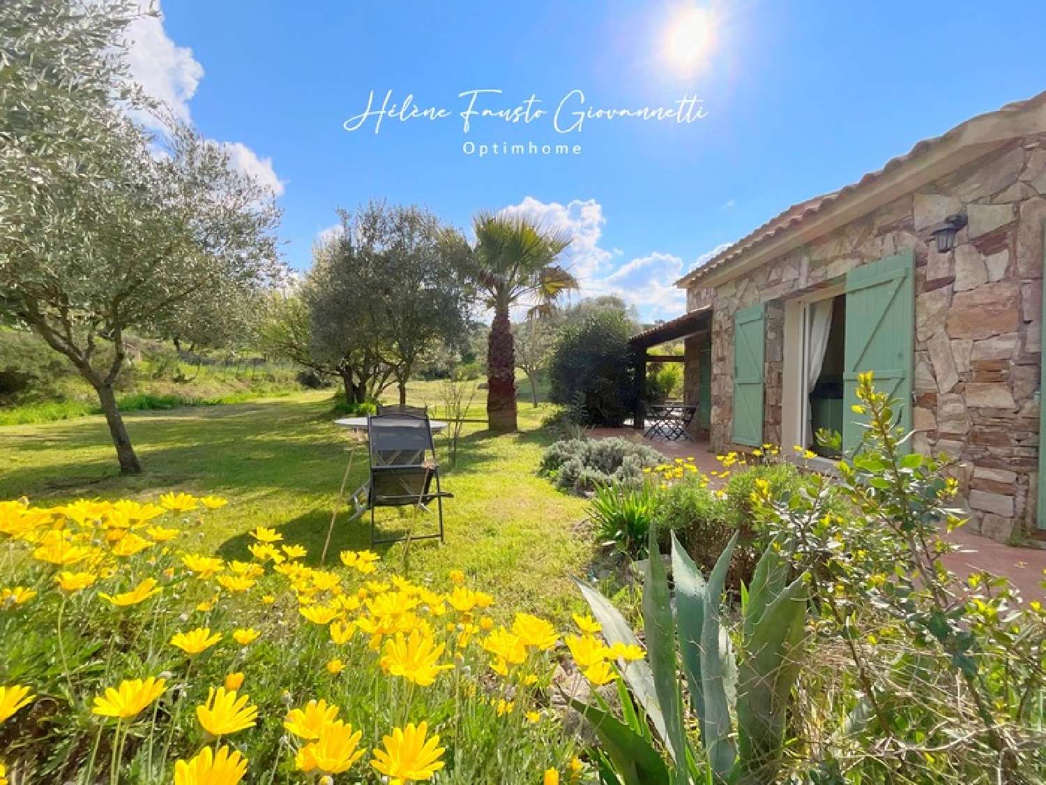  te koop huis Oletta Haute-Corse 2