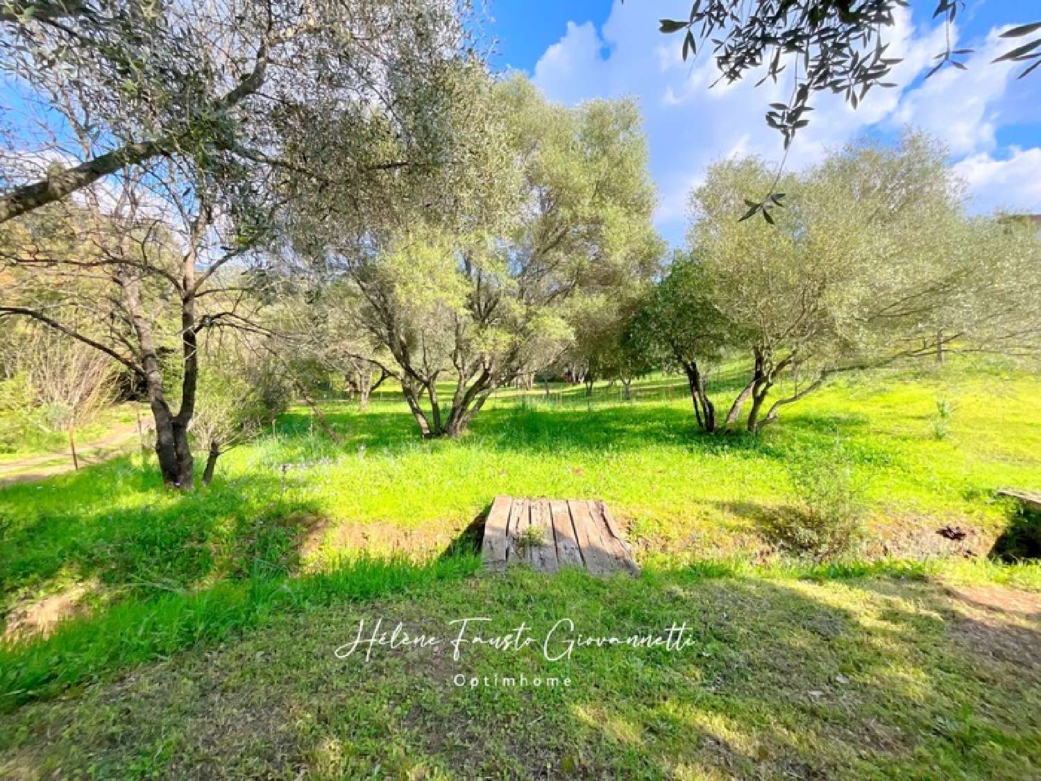  te koop huis Oletta Haute-Corse 3