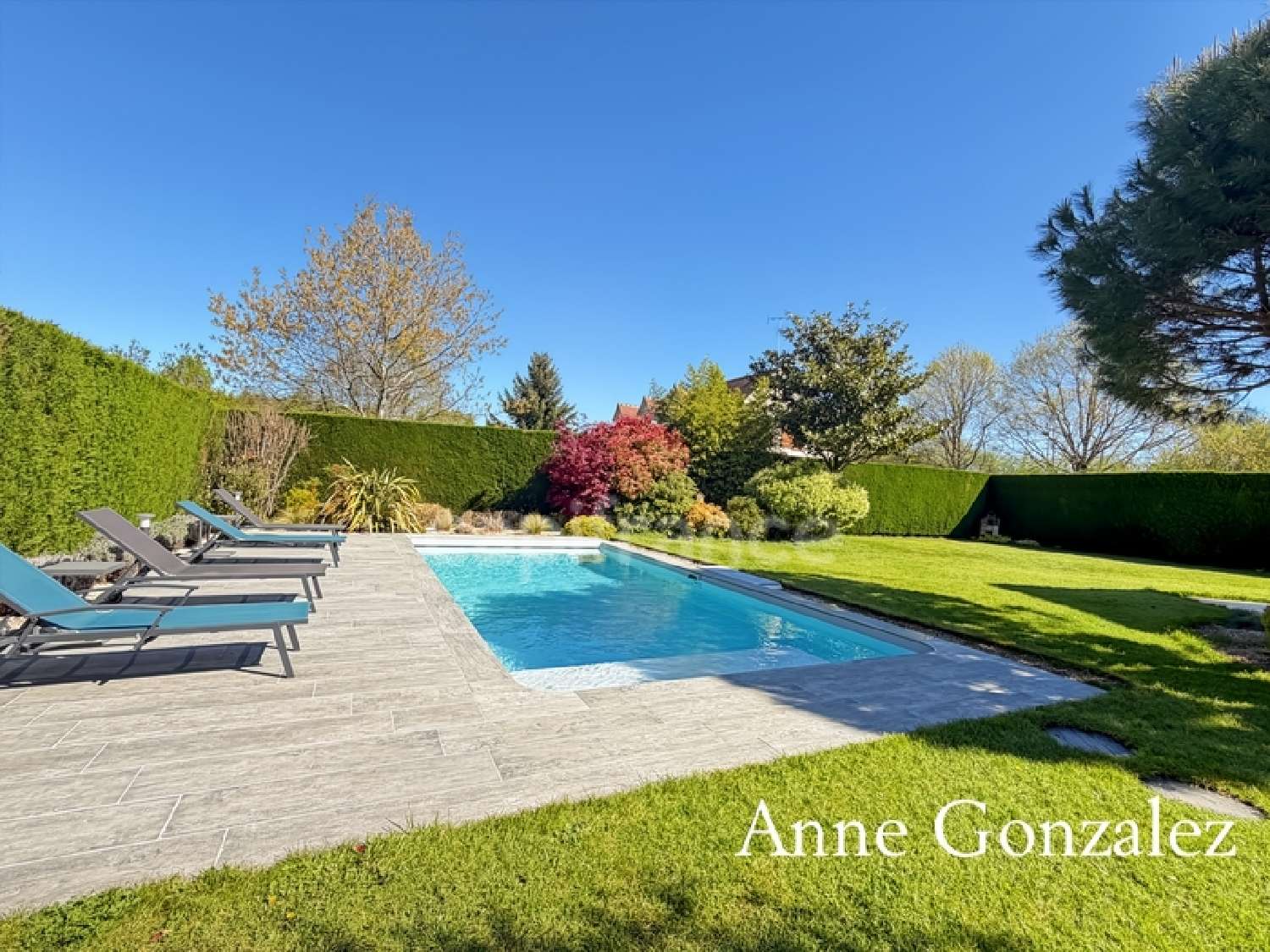  te koop huis Olivet Loiret 2