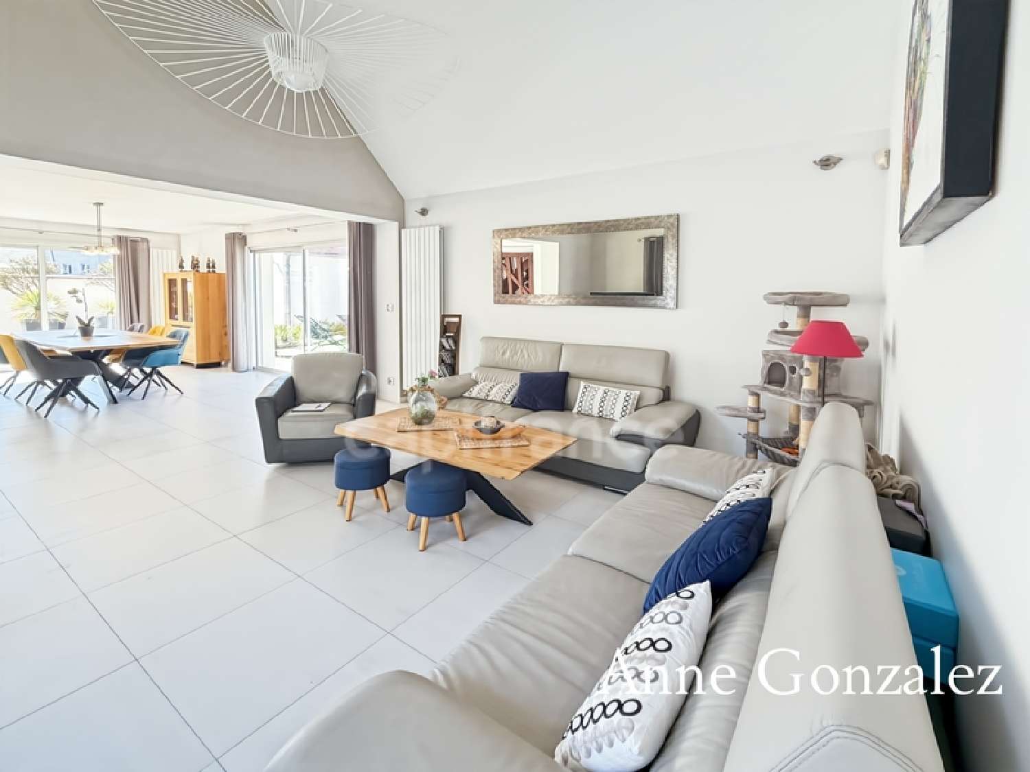  te koop huis Olivet Loiret 3