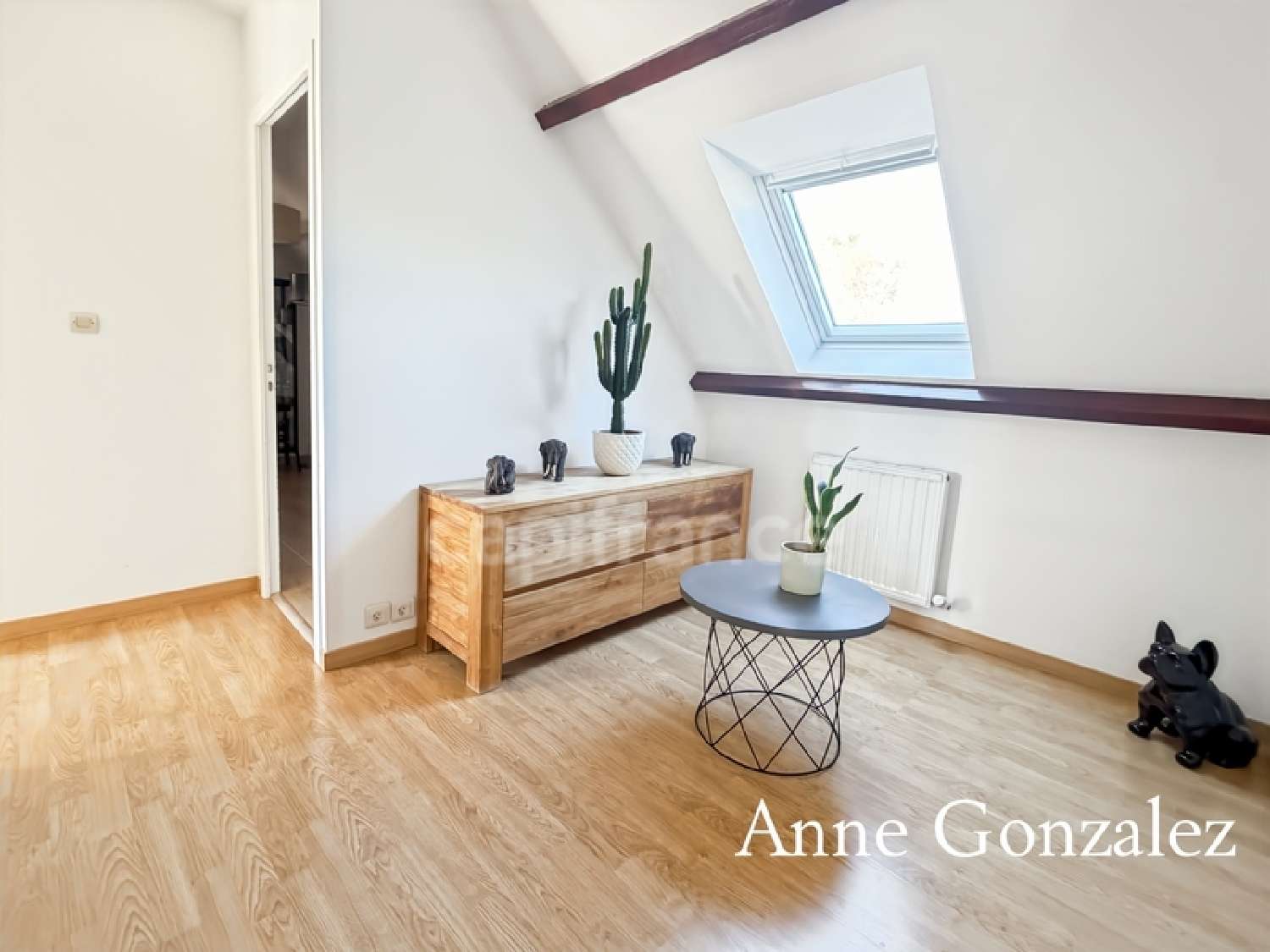  te koop huis Olivet Loiret 8