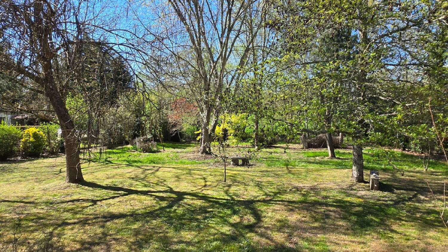  à vendre maison Oradour-sur-Glane Haute-Vienne 5