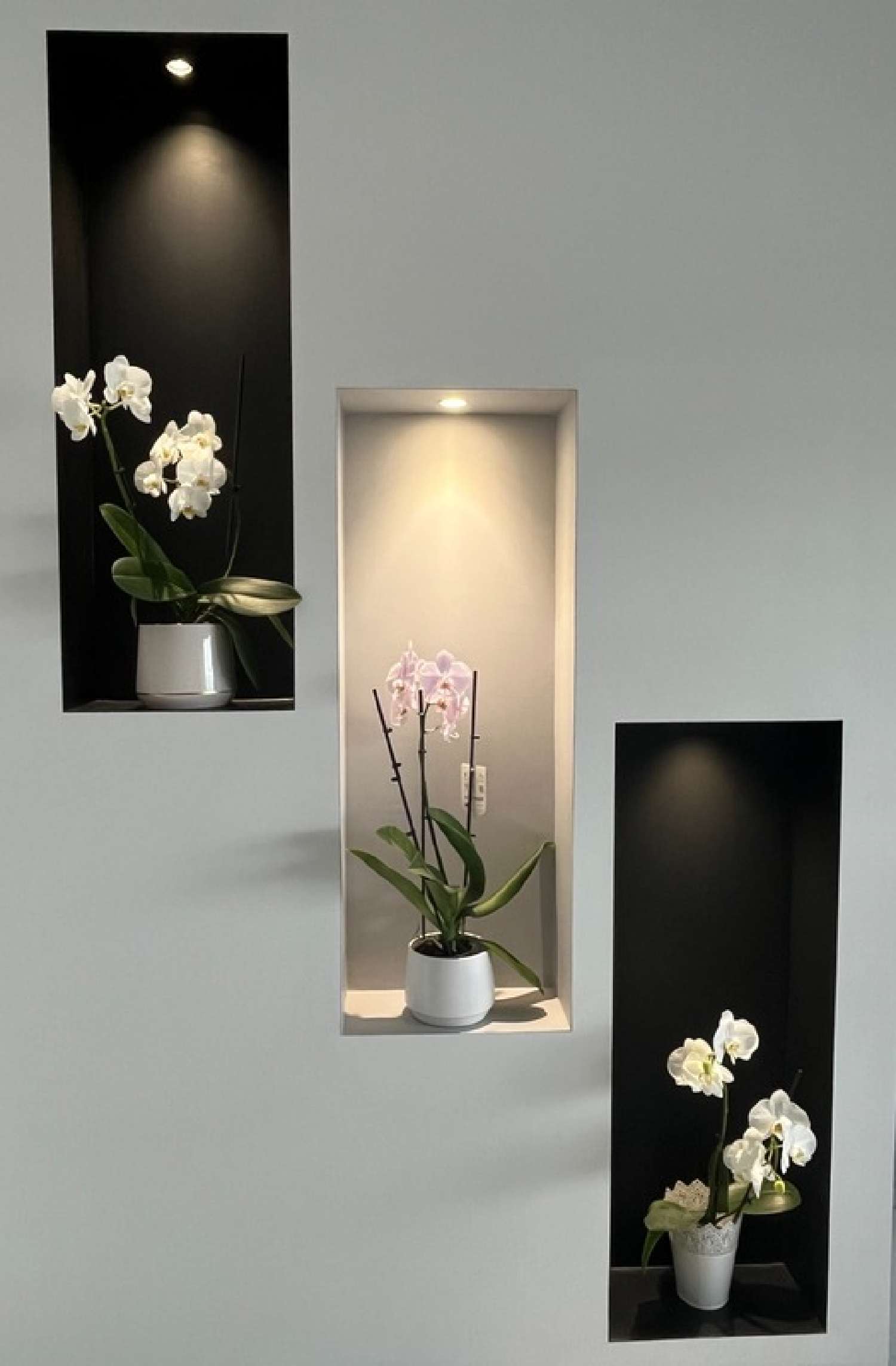  kaufen Haus Orcet Puy-de-Dôme 4