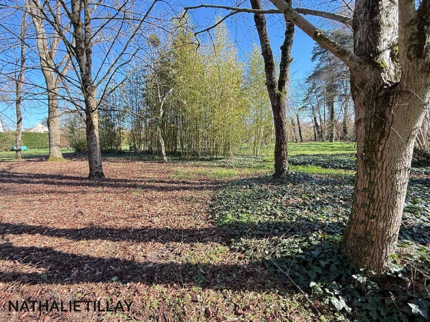  te koop huis Orléans Loiret 3