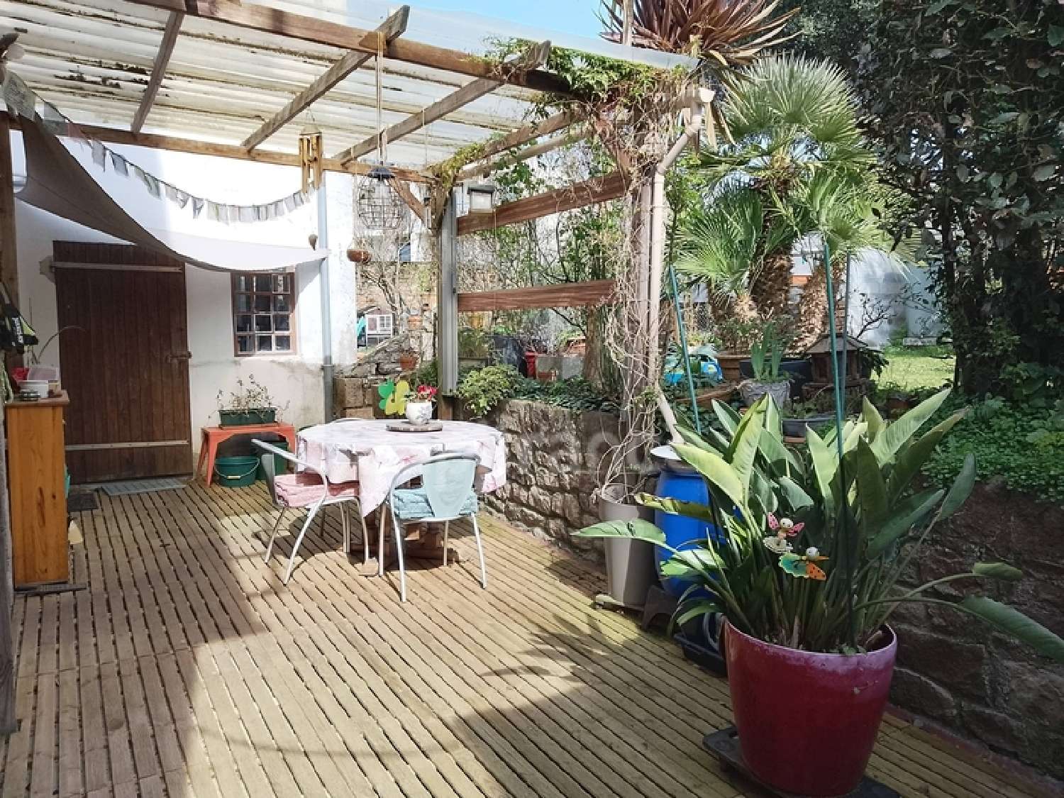  kaufen Haus Paimpol Côtes-d'Armor 4