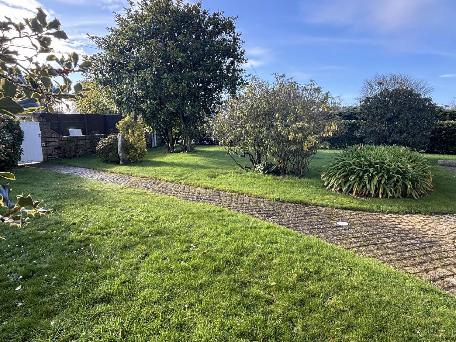  à vendre maison Paimpol Côtes-d'Armor 4