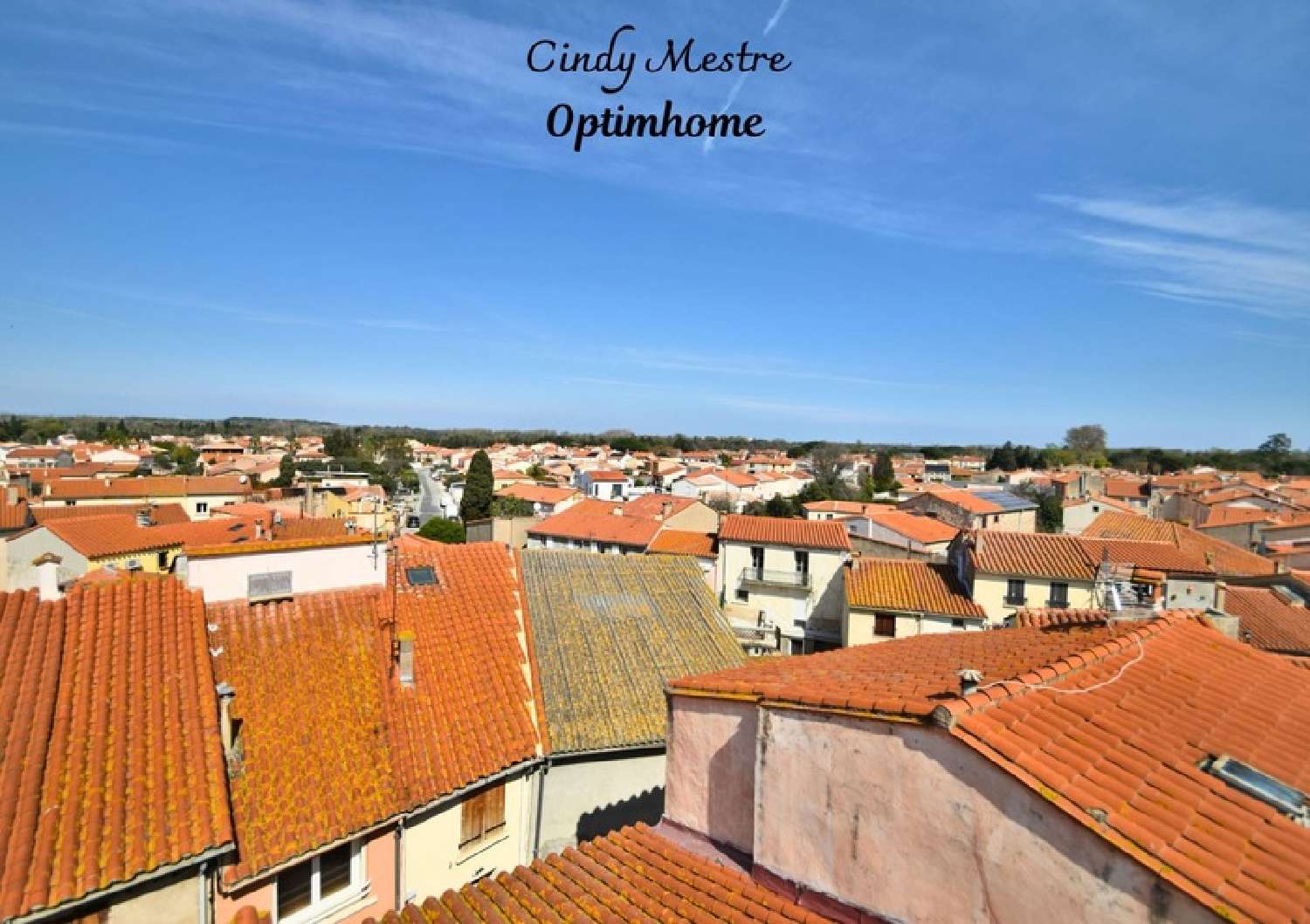  te koop huis Palau-del-Vidre Pyrénées-Orientales 1