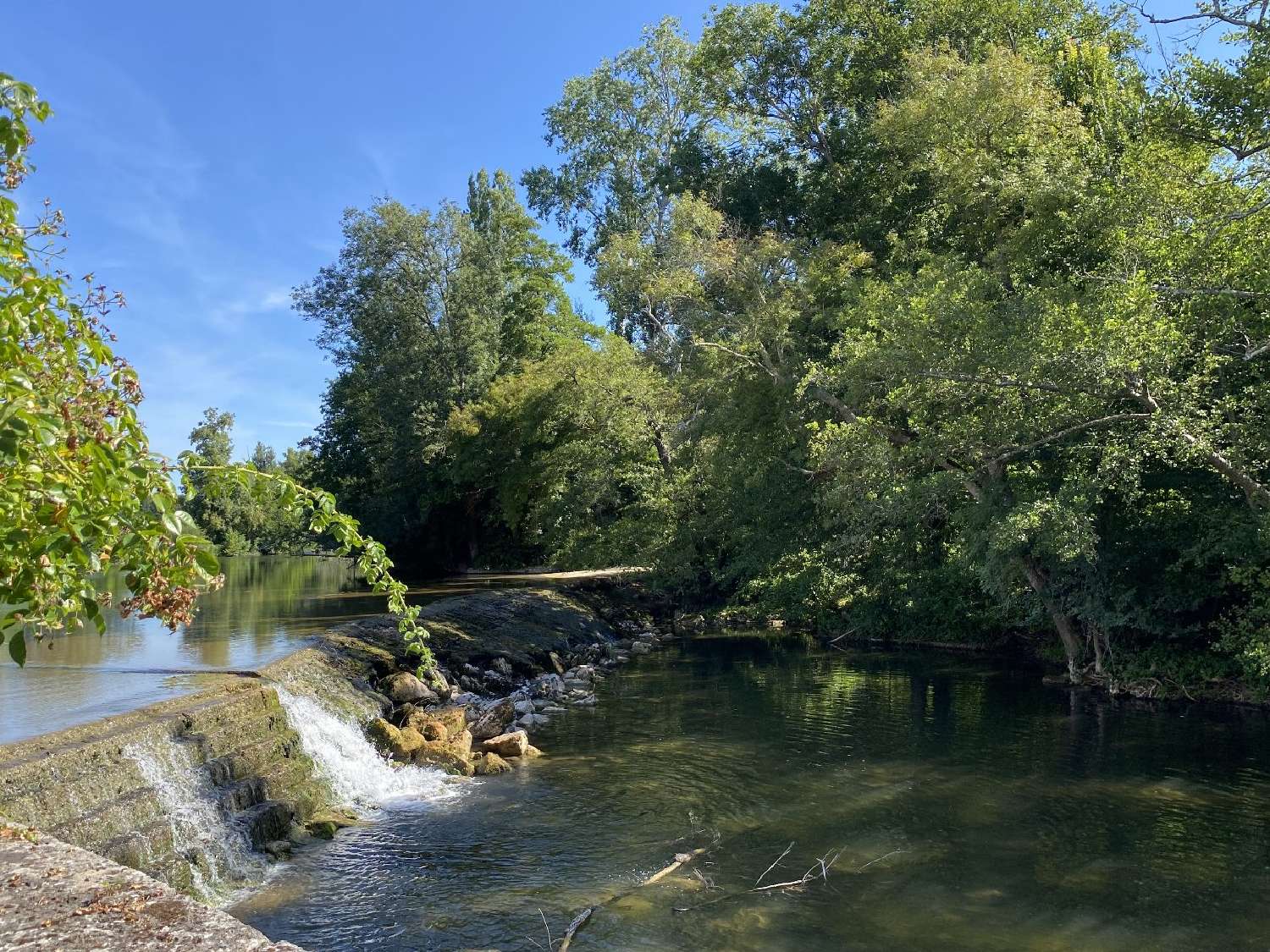 for sale house Parcoul Dordogne 6