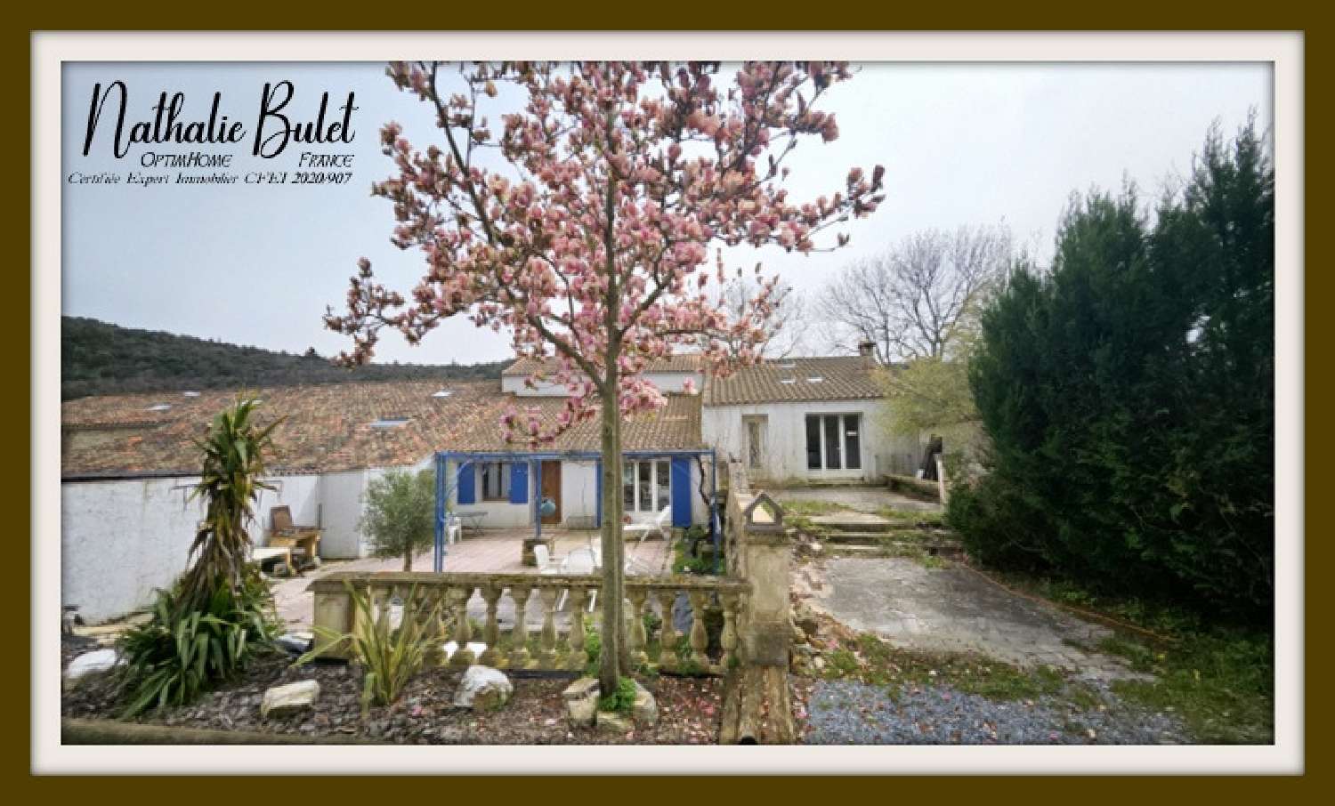  te koop huis Pardailhan Hérault 1