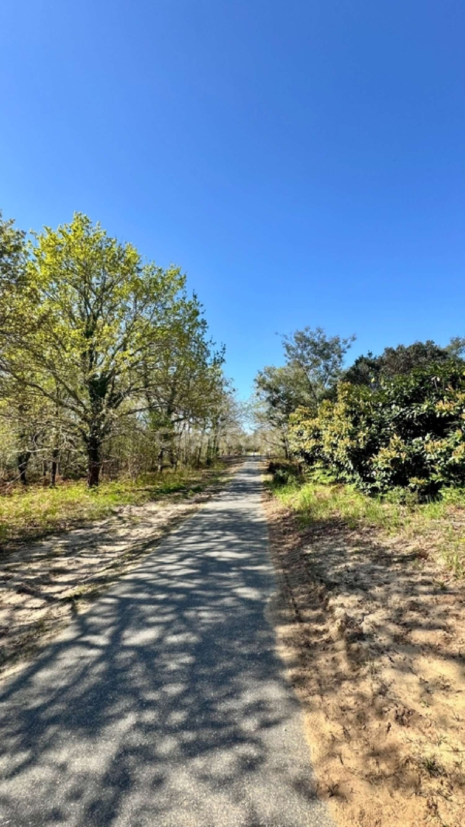  te koop huis Parentis-en-Born Landes 3