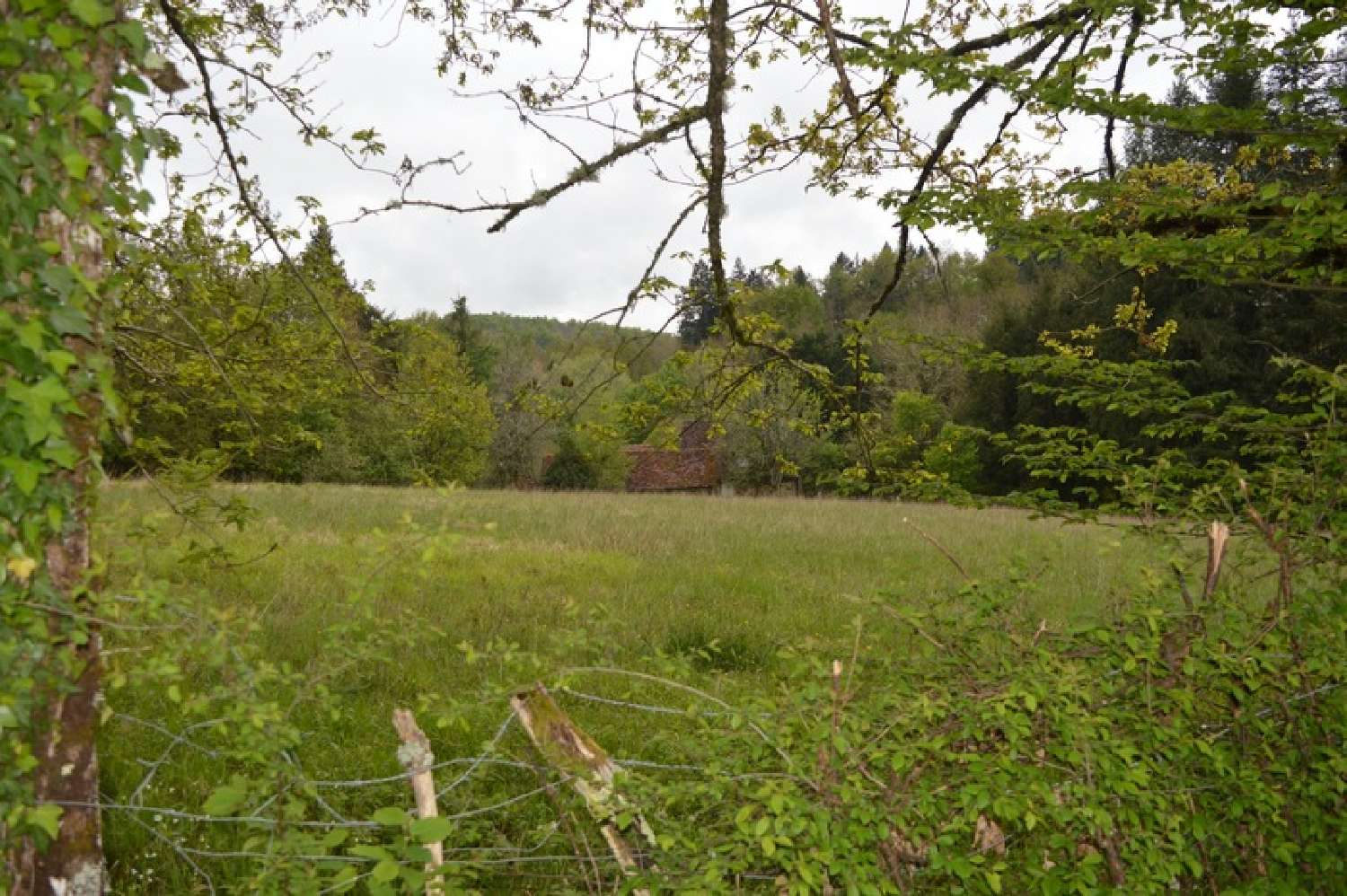  kaufen Haus Payzac Dordogne 4