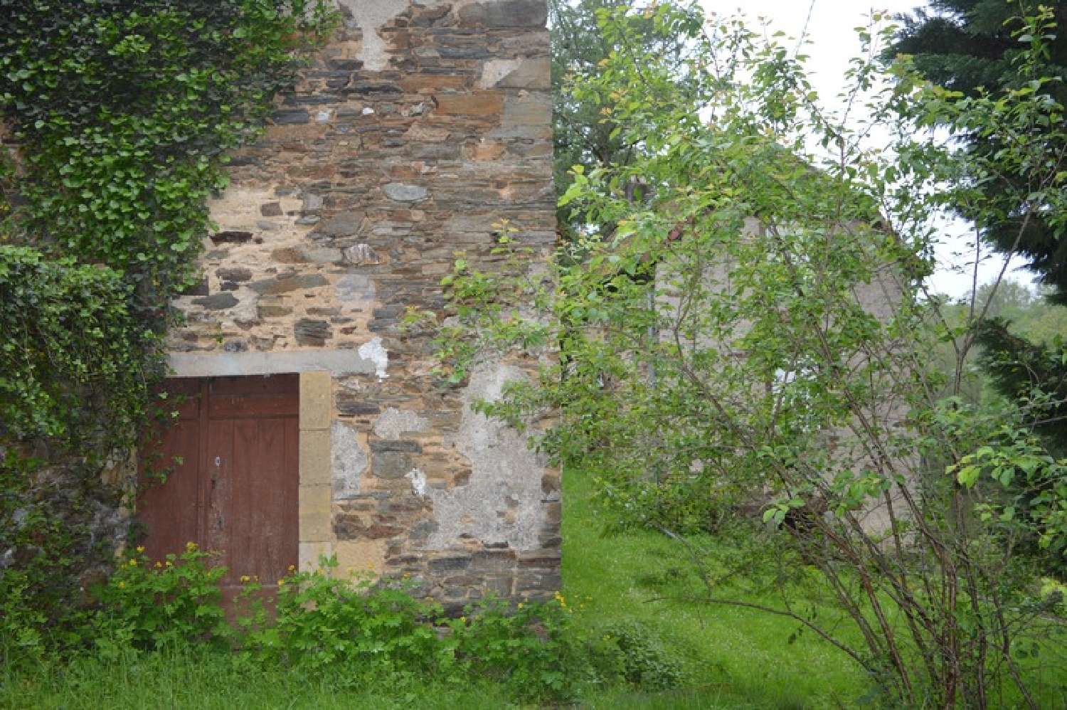  kaufen Haus Payzac Dordogne 6