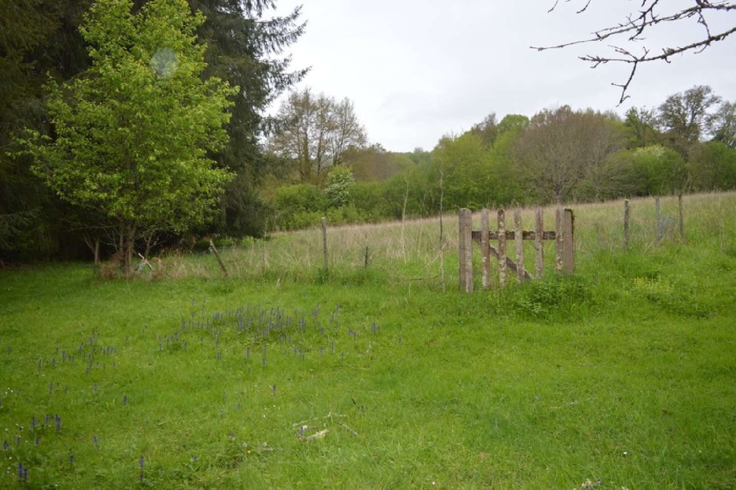  kaufen Haus Payzac Dordogne 7