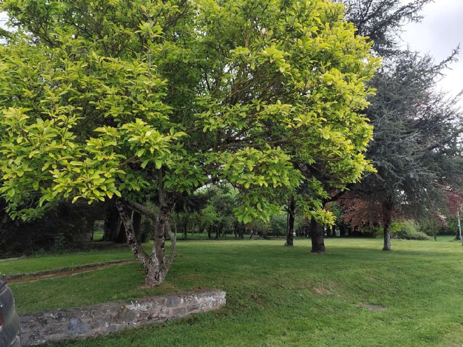  kaufen Haus Peillac Morbihan 2