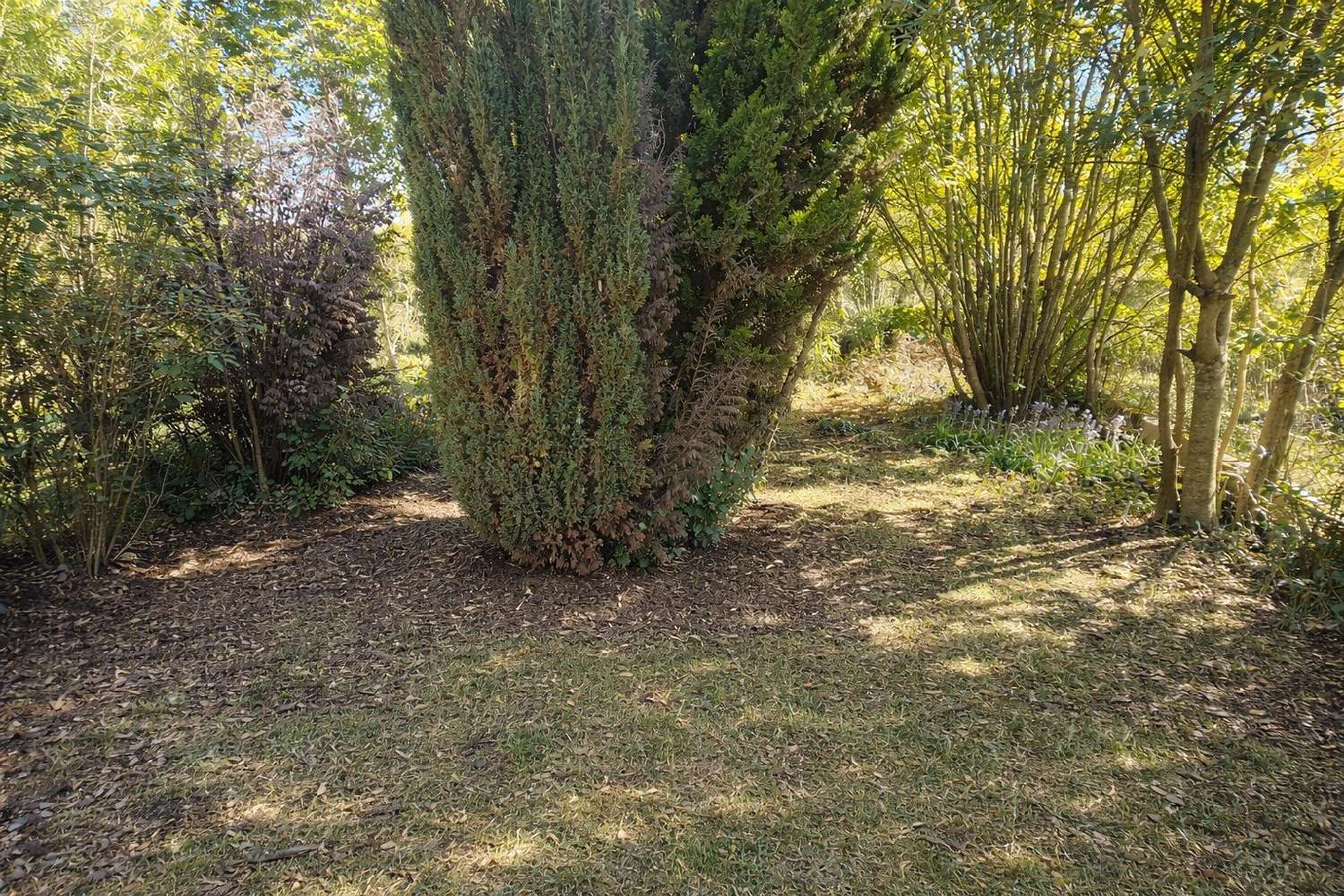  for sale house Périgueux Dordogne 7