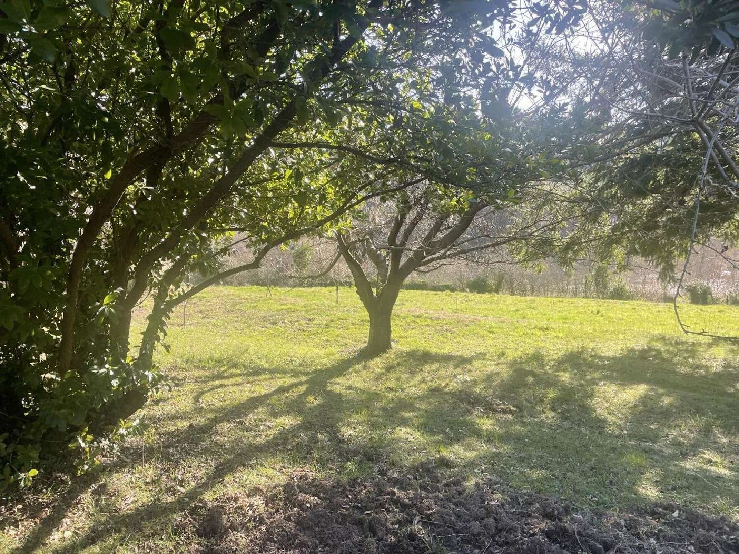  te koop huis Peyremale Gard 5