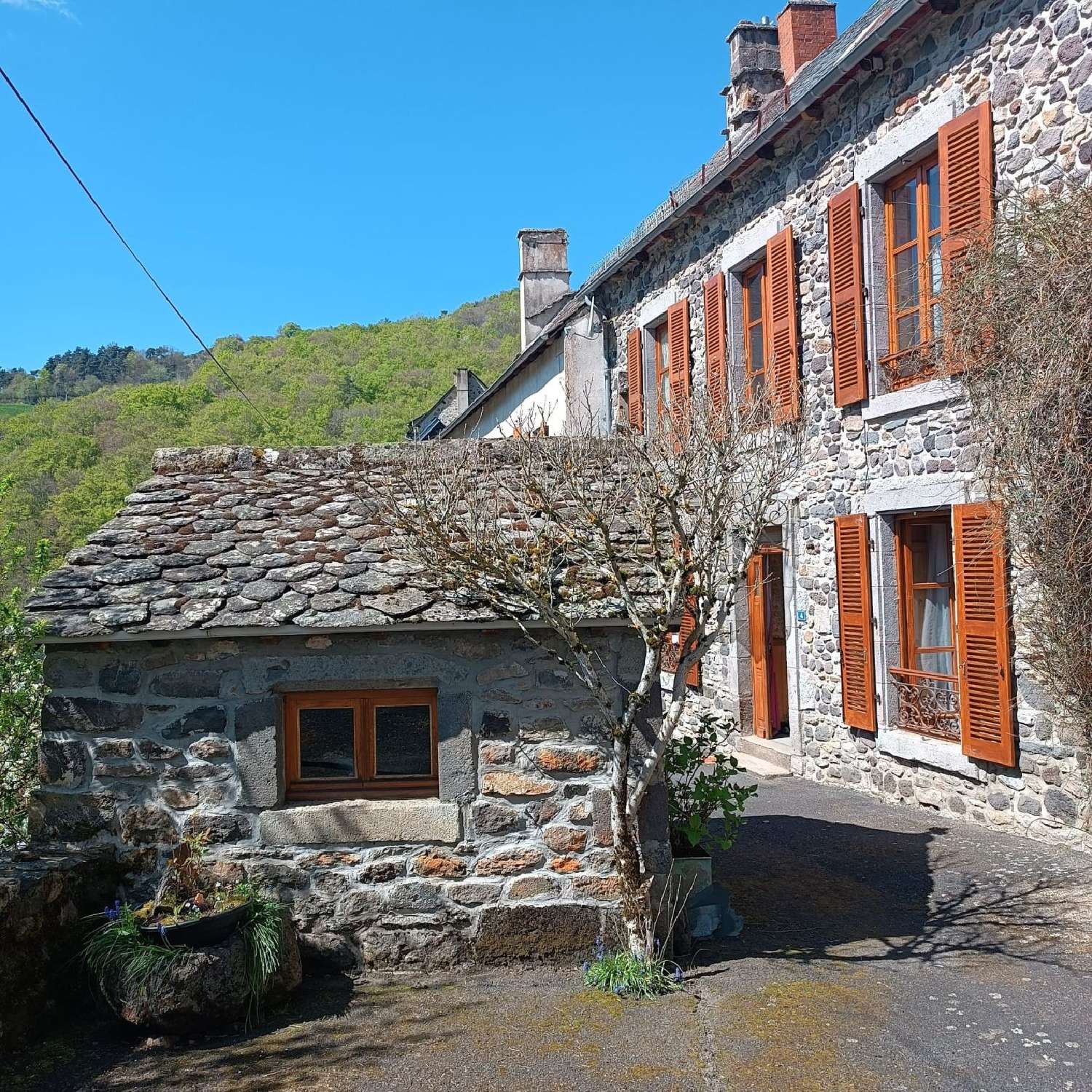  en venta casa Peyrusse Cantal 1