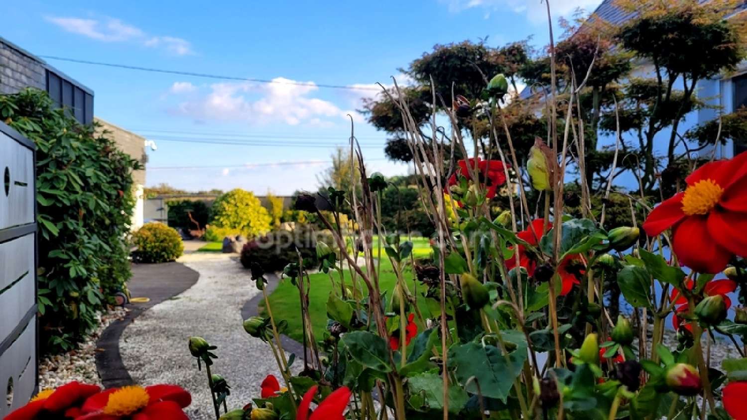  te koop huis Ploeren Morbihan 2