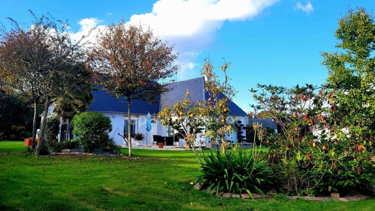  te koop huis Ploeren Morbihan 4