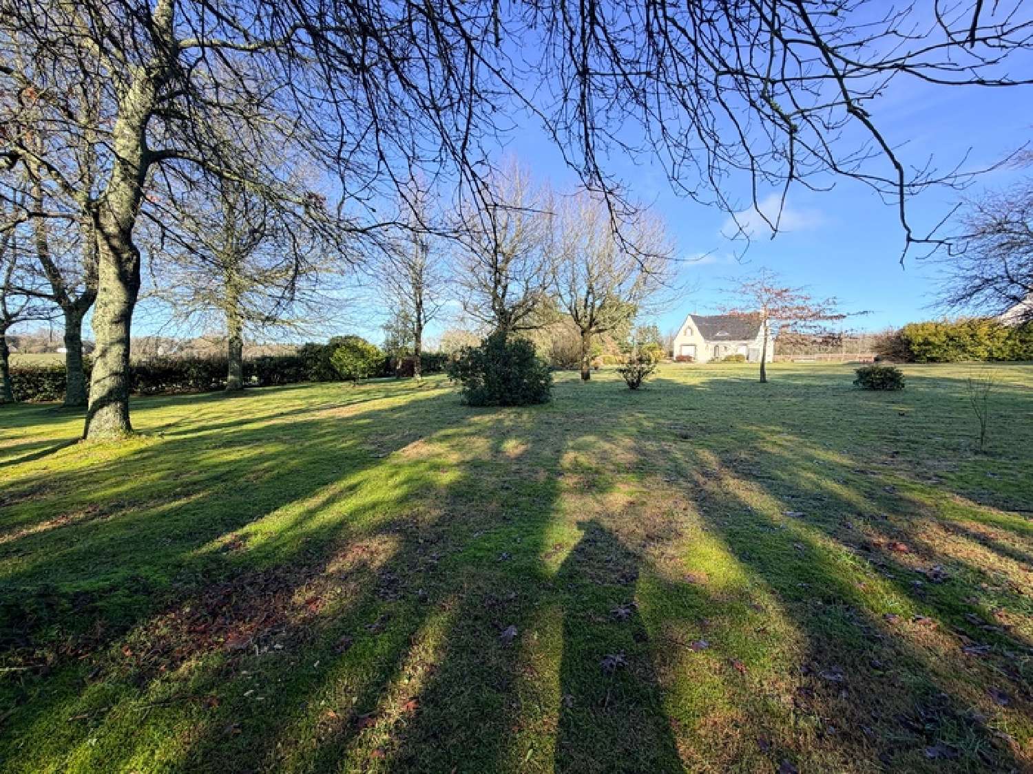  for sale house Plouay Morbihan 3